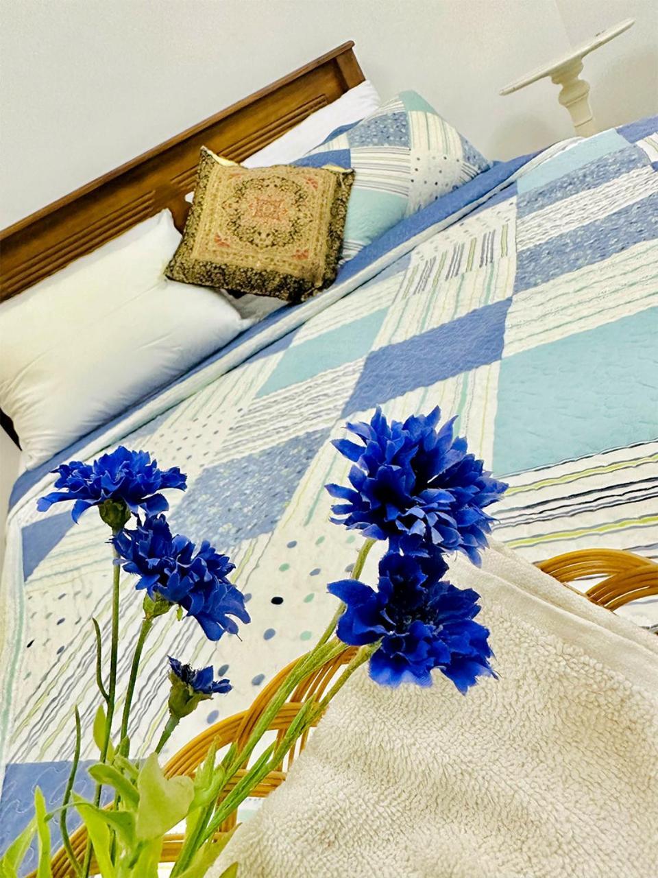 Guest house Sea Breeze Negombo